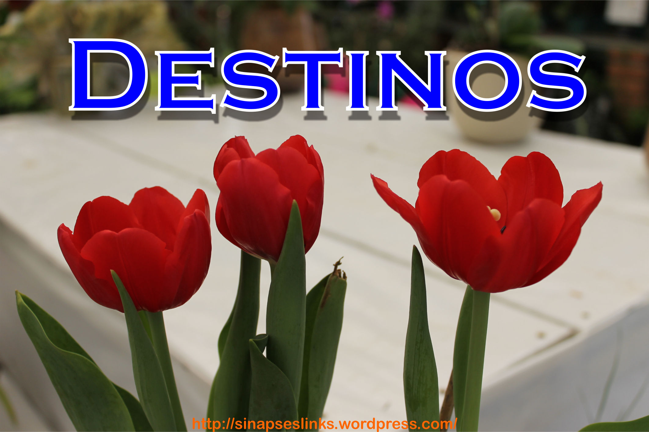 20130113_Destinos