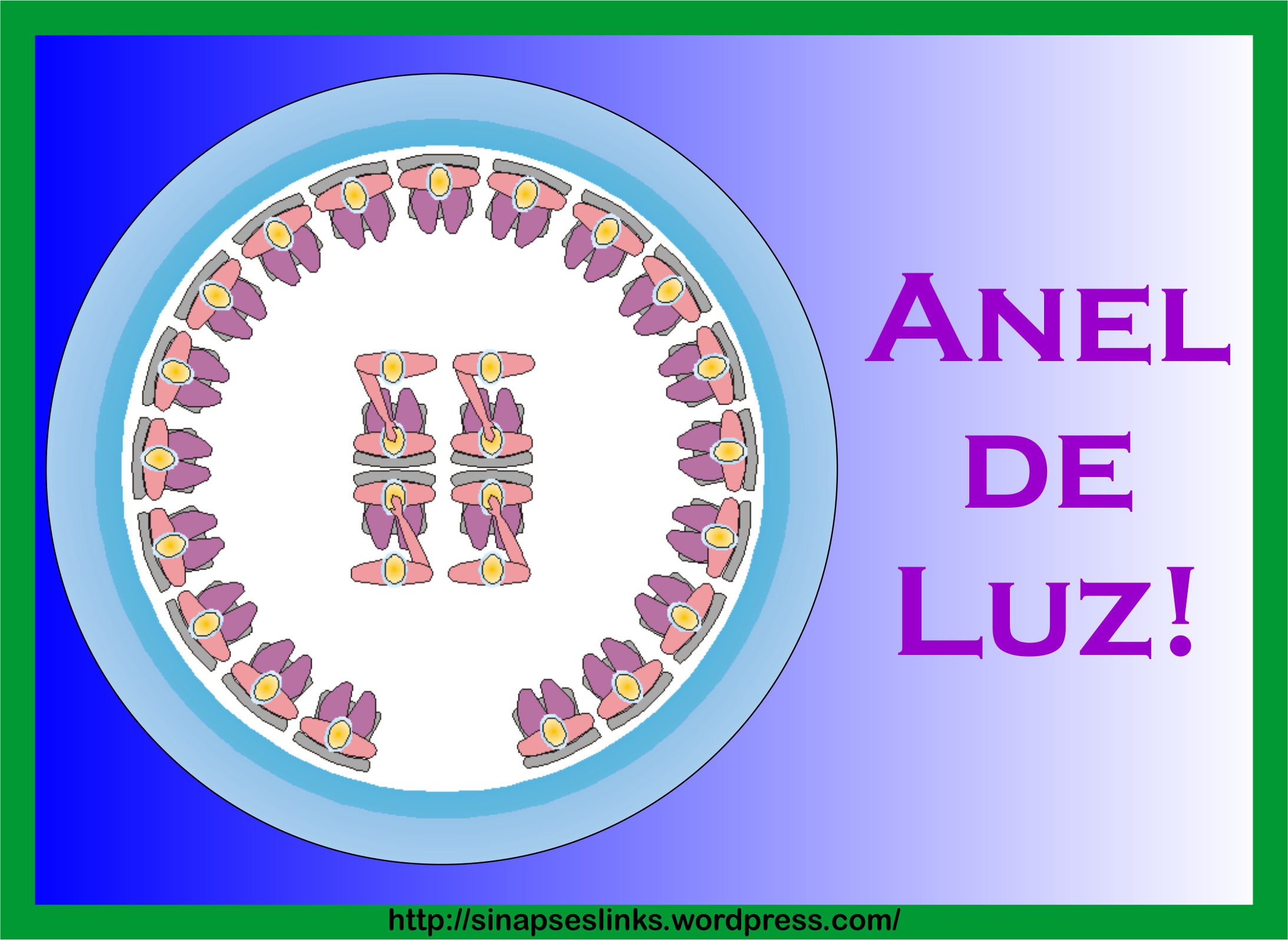 20130116_Anel_Luz