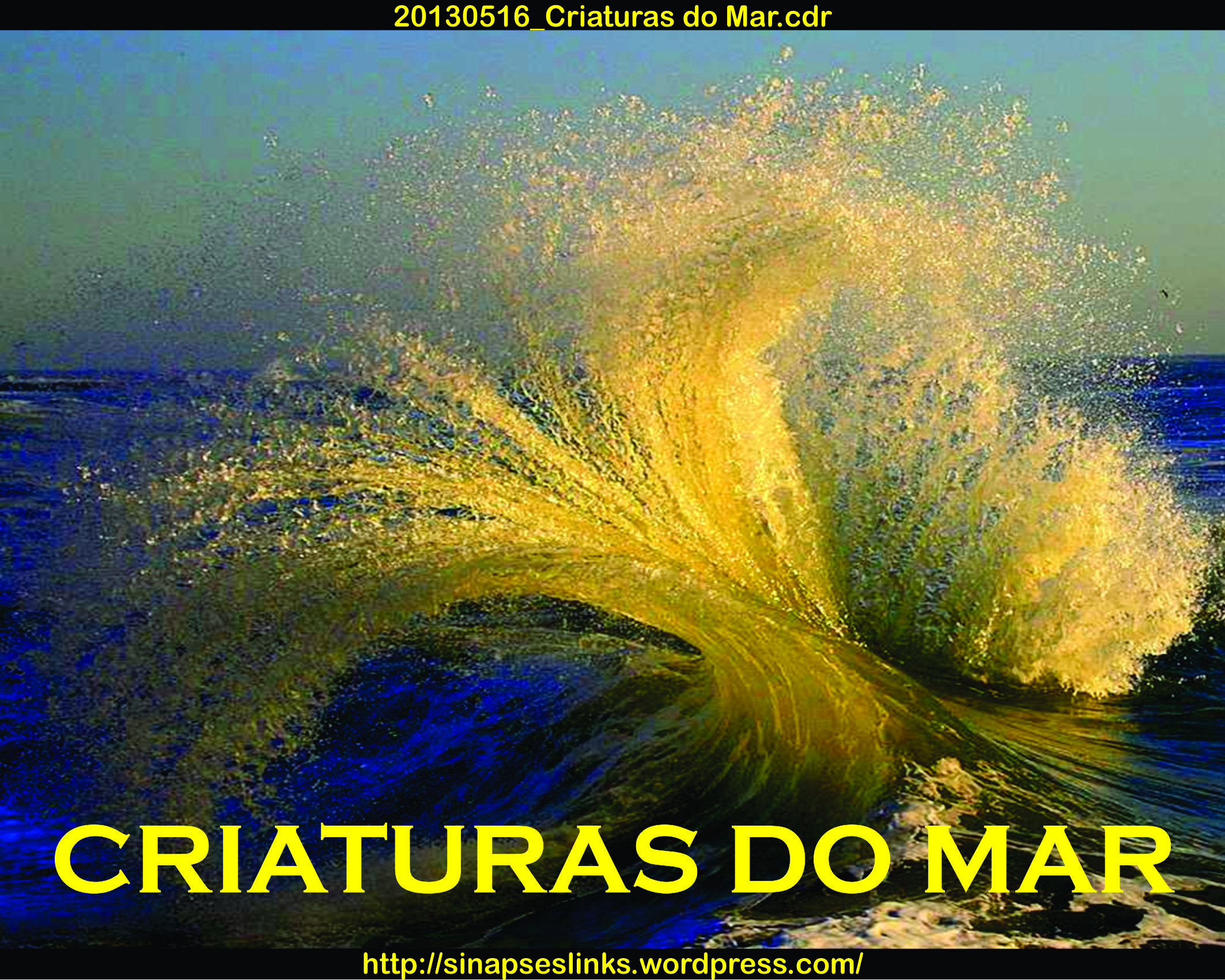 20130516_Criaturas do Mar